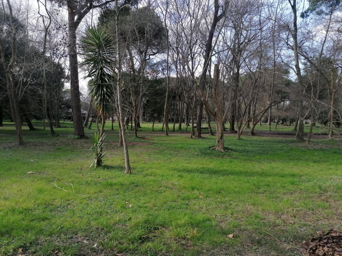 La Casina Giramondo Di Ele Viareggio Dış mekan fotoğraf
